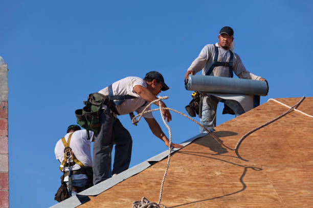 Quick and Trustworthy Emergency Roof Repair Services in Sheffield, AL