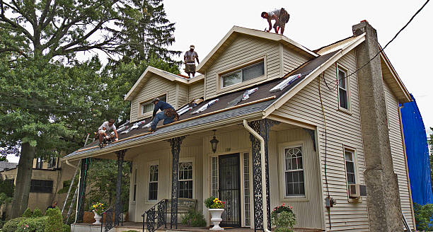 Best Storm Damage Roof Repair  in Sheffield, AL
